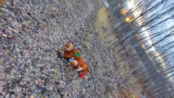 �� �����. ������ ���