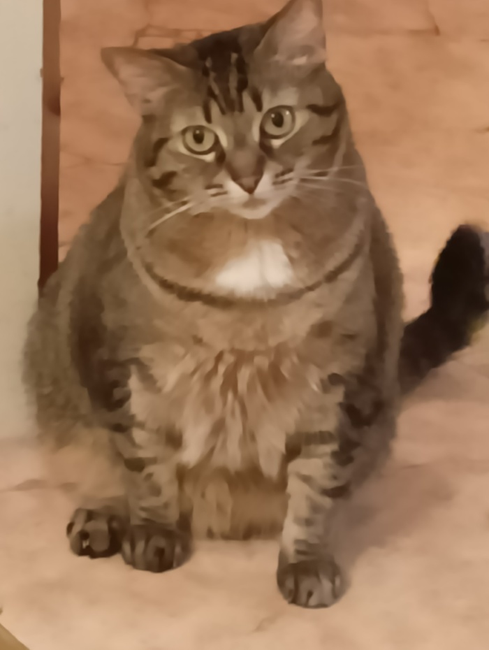  , , 