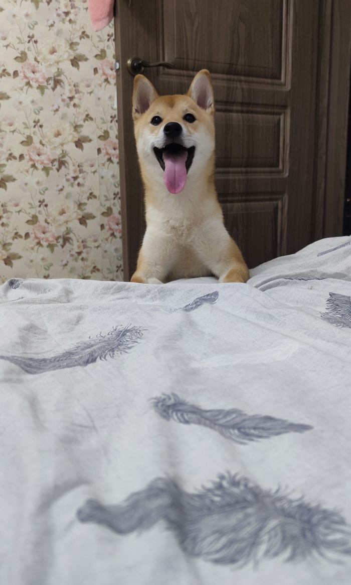 Да будет бунт