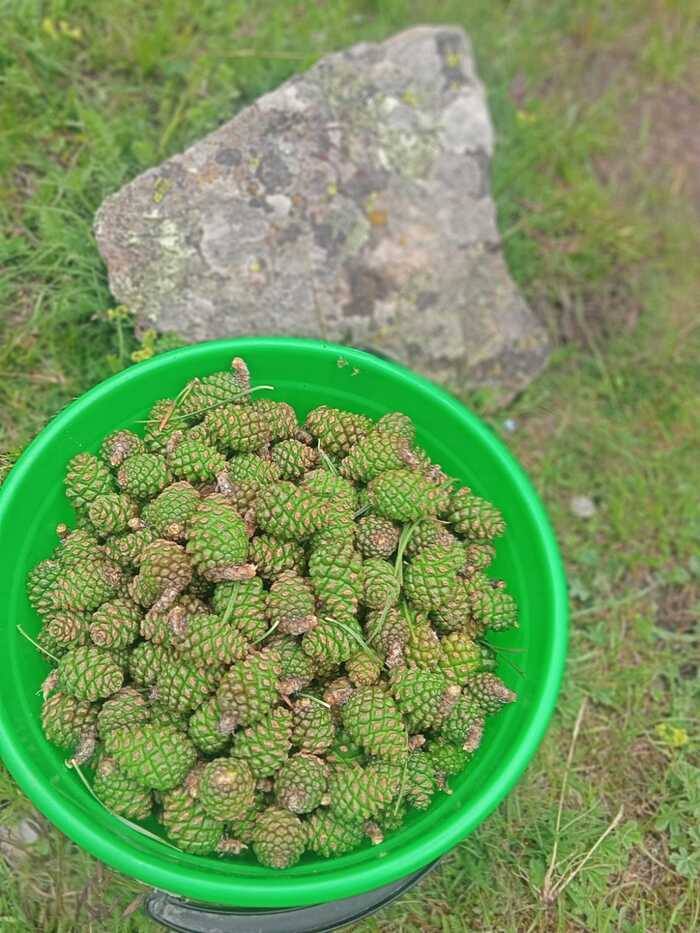 ������� �� ����! (�������� �� �����)