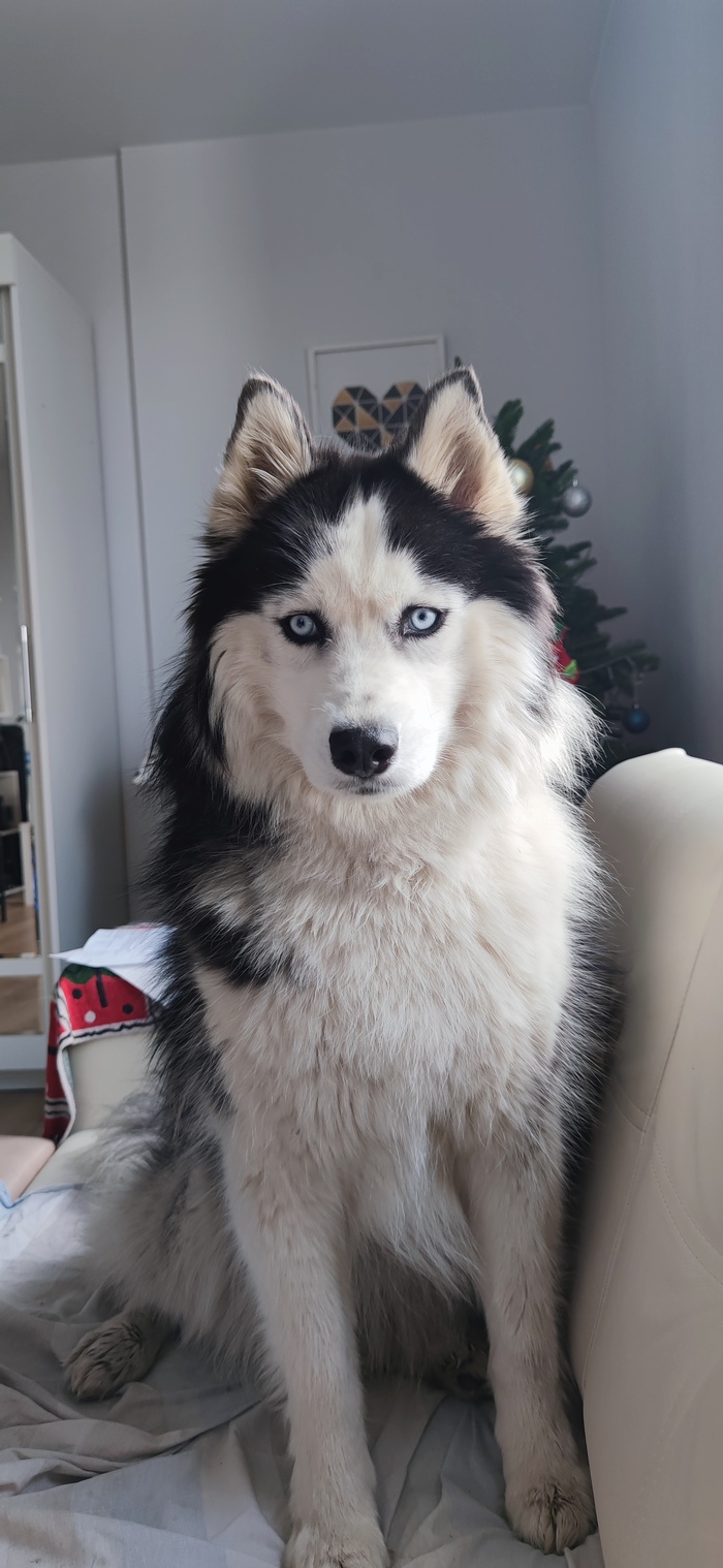 ��� ��� ������ ����� - ��� ��� �������