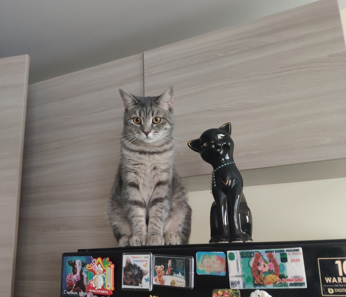 �� ��� ����?