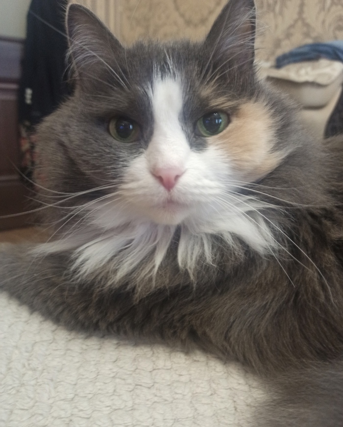 ����? � �� ���������?