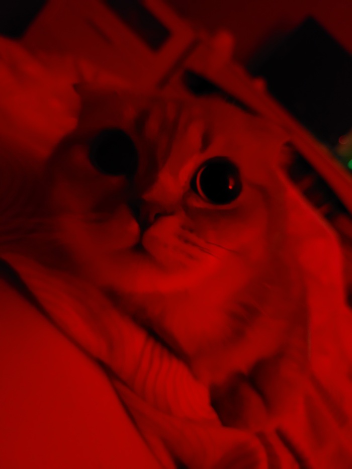 ������ �� ��������