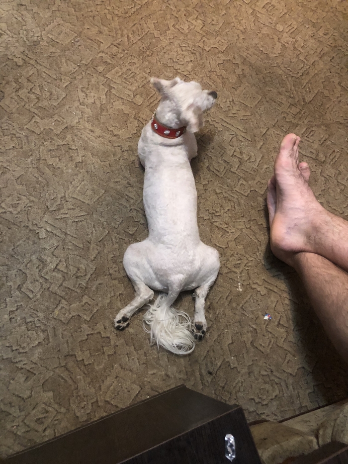 ���� ������, ���� ����