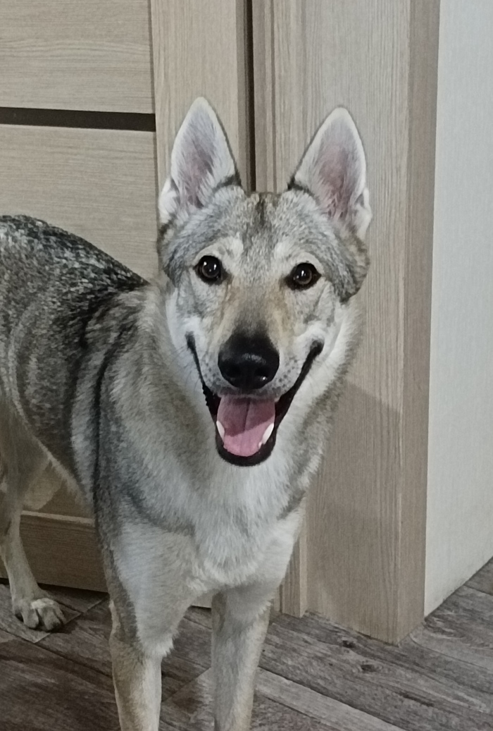 Бунт тоже че-нить кину