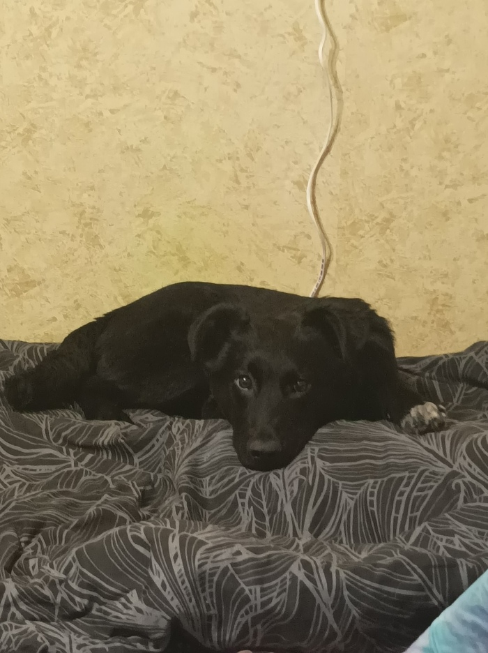 � �� ��� ��������� ������ ��������?