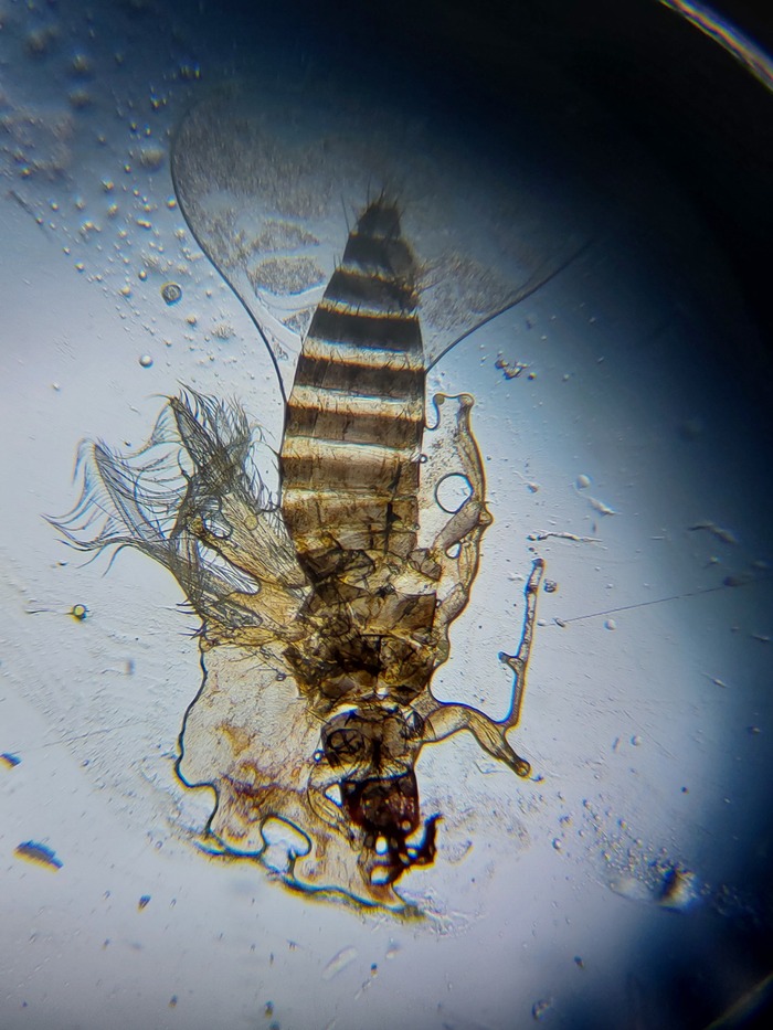 ������� ����!