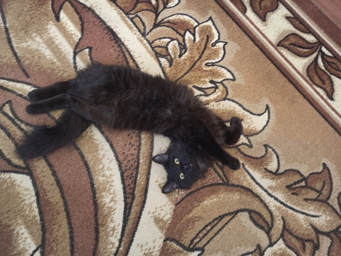 ������ ���!