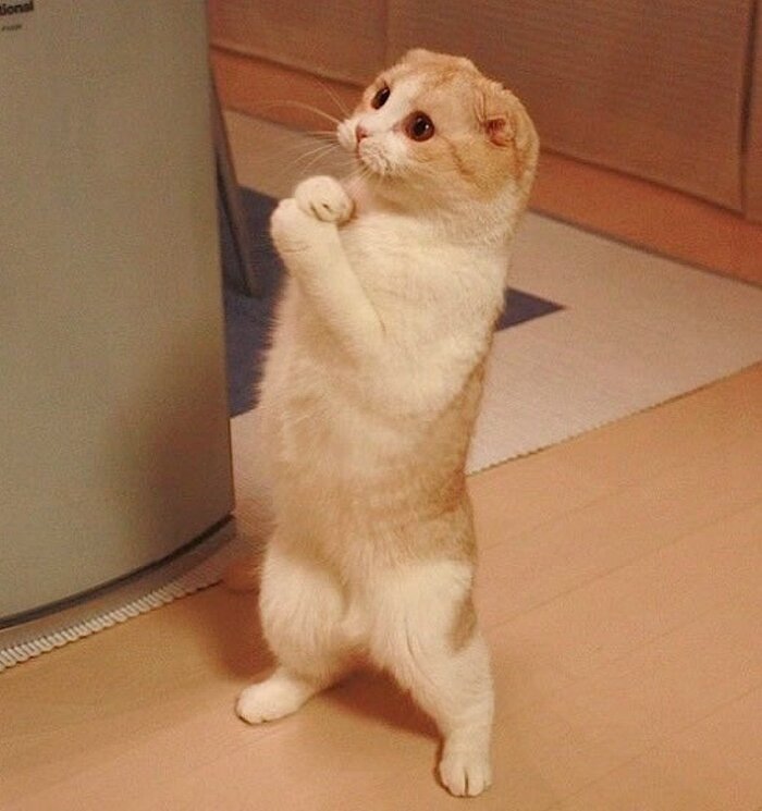 � ���, � ��� ������