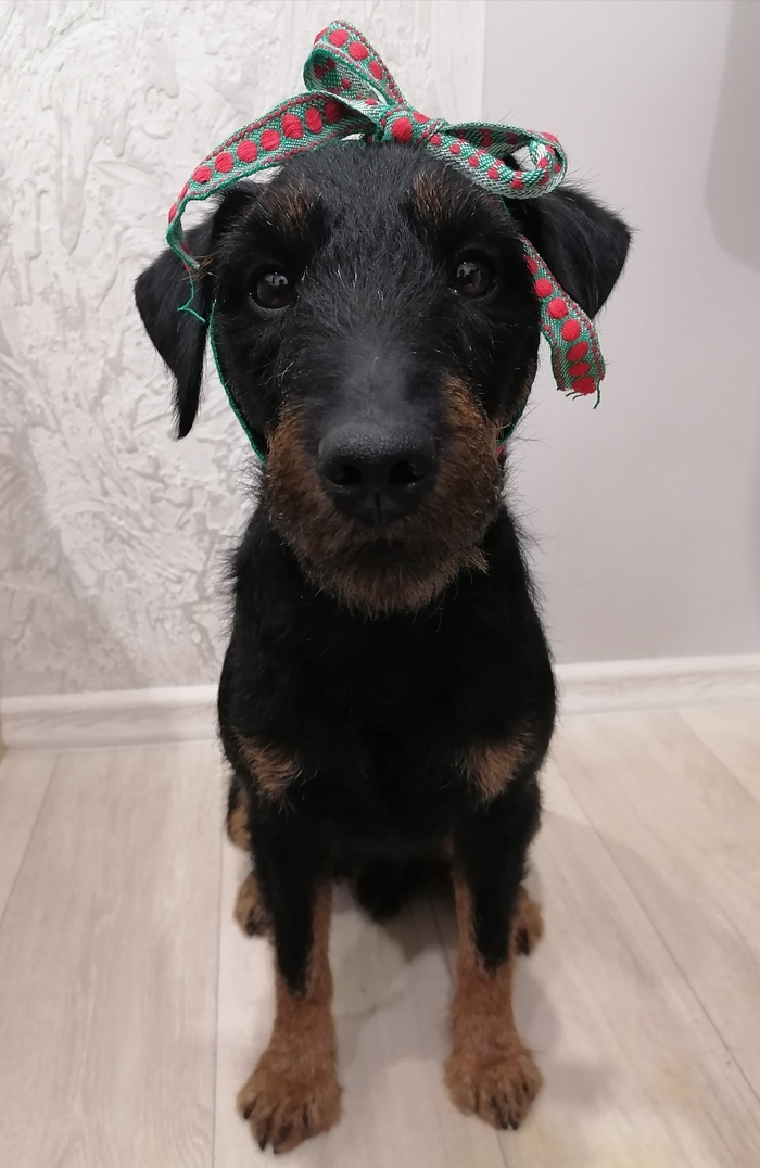 ���� �� �� ������� ������?