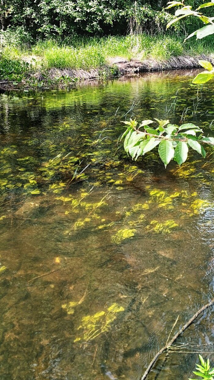 Смартография