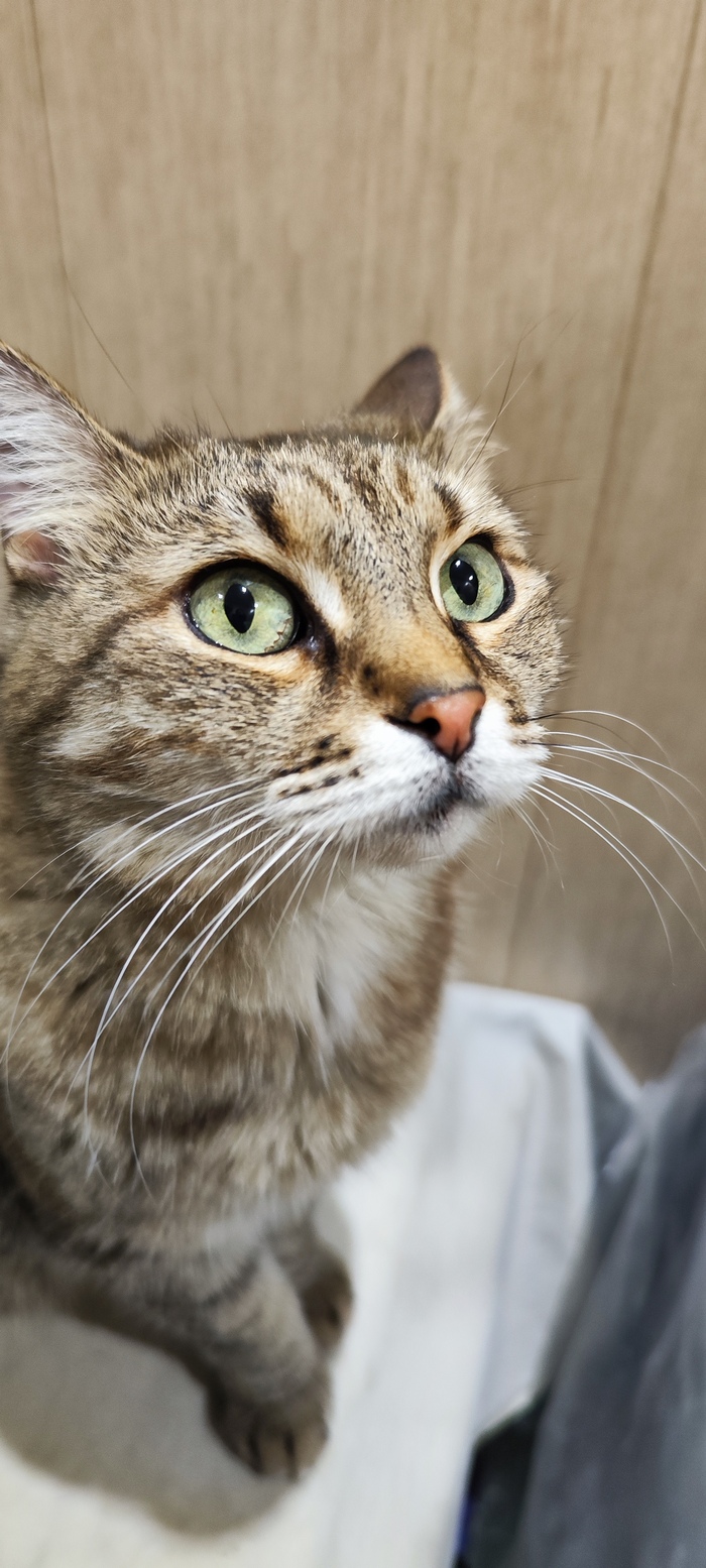 �� ���� � ����