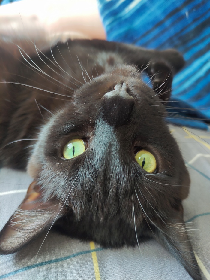 � � ���� ������� � �������� ������� �������