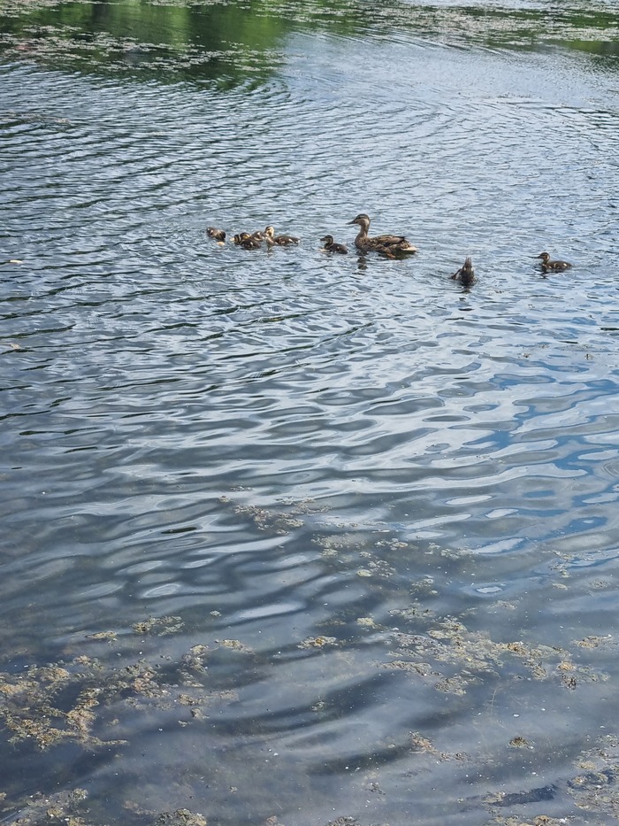 ����� ������ �� �����