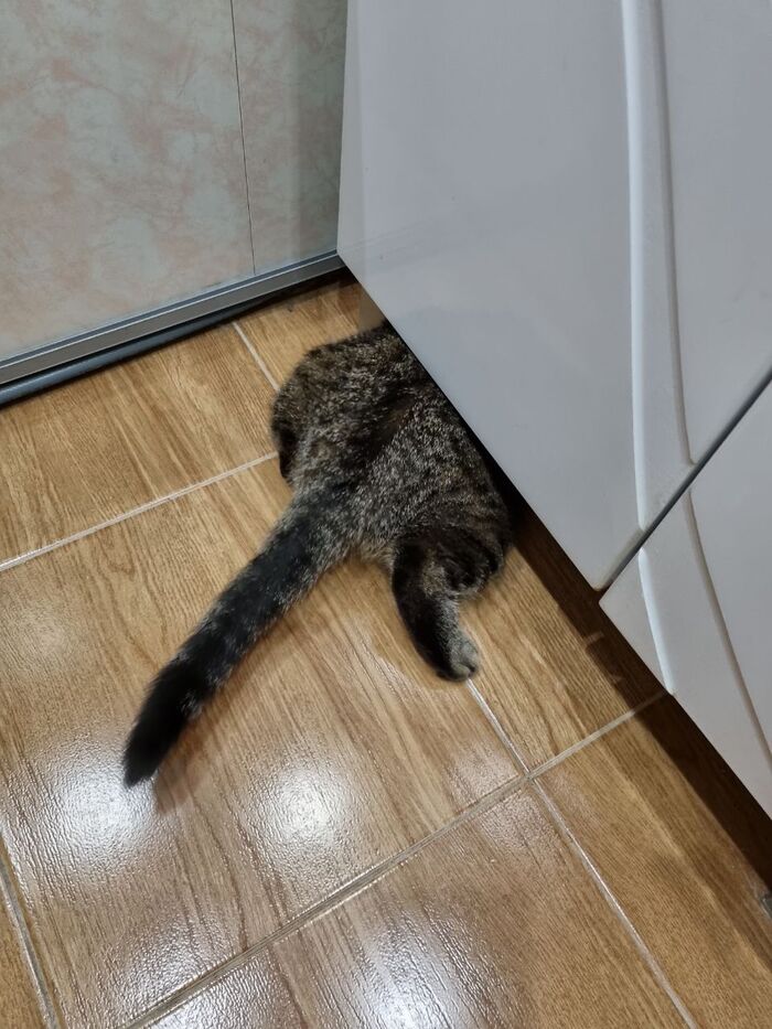 �� ��� ����... ������ ��� ����