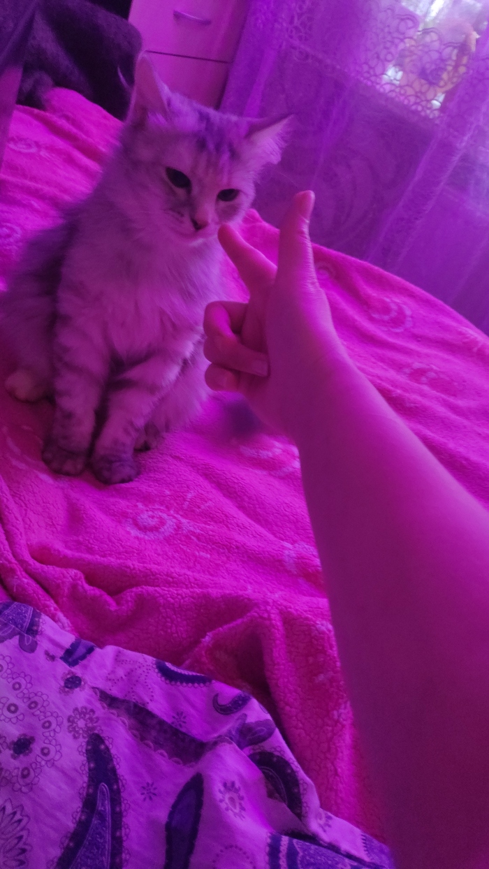 Я тоже хочу в бунД