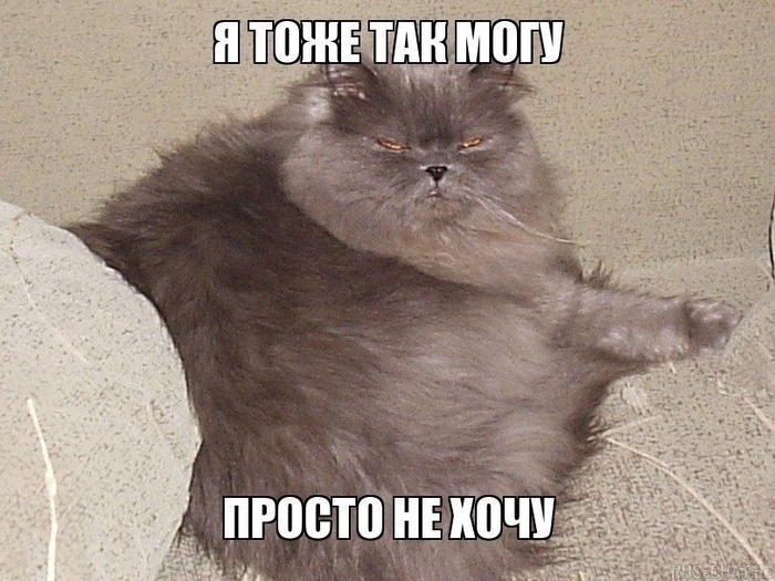 Когда все набирают тонну плюсов написав херню