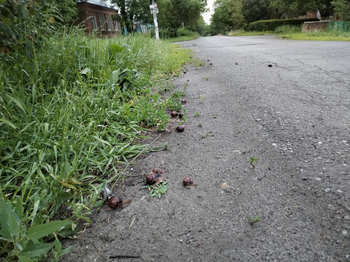 ������ �������