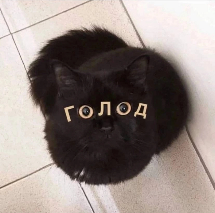 ���� ��� ����!