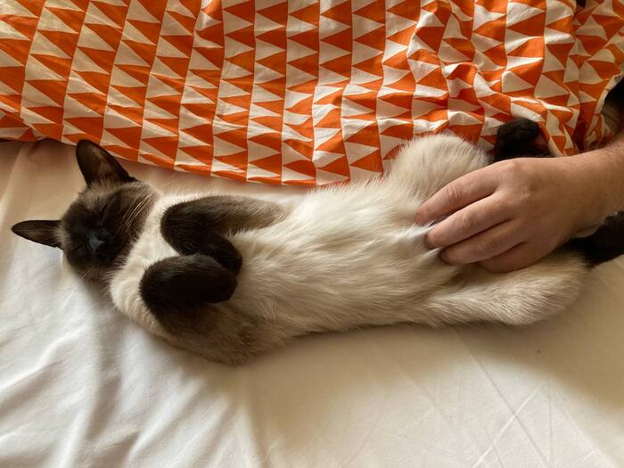 ���� �� ����