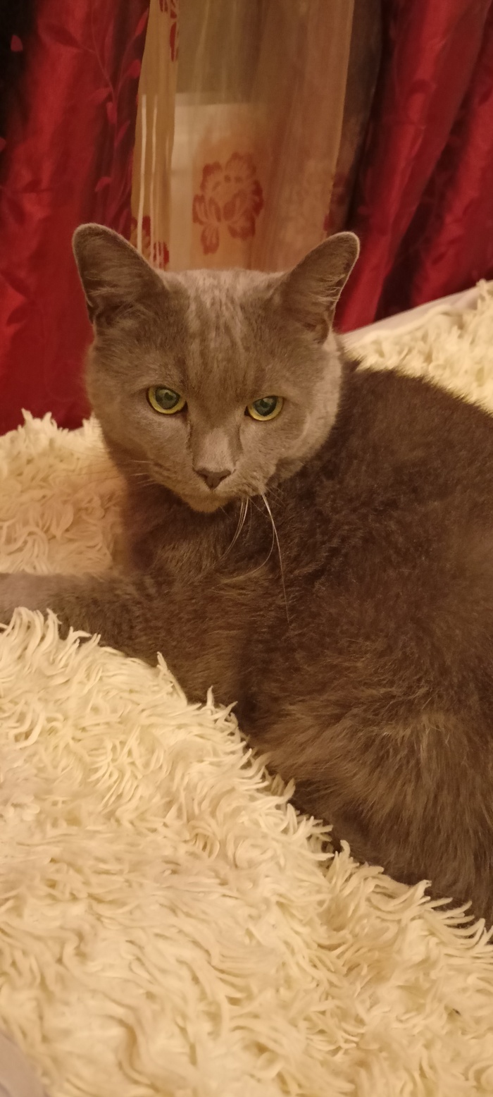 �� ����� ��� ����