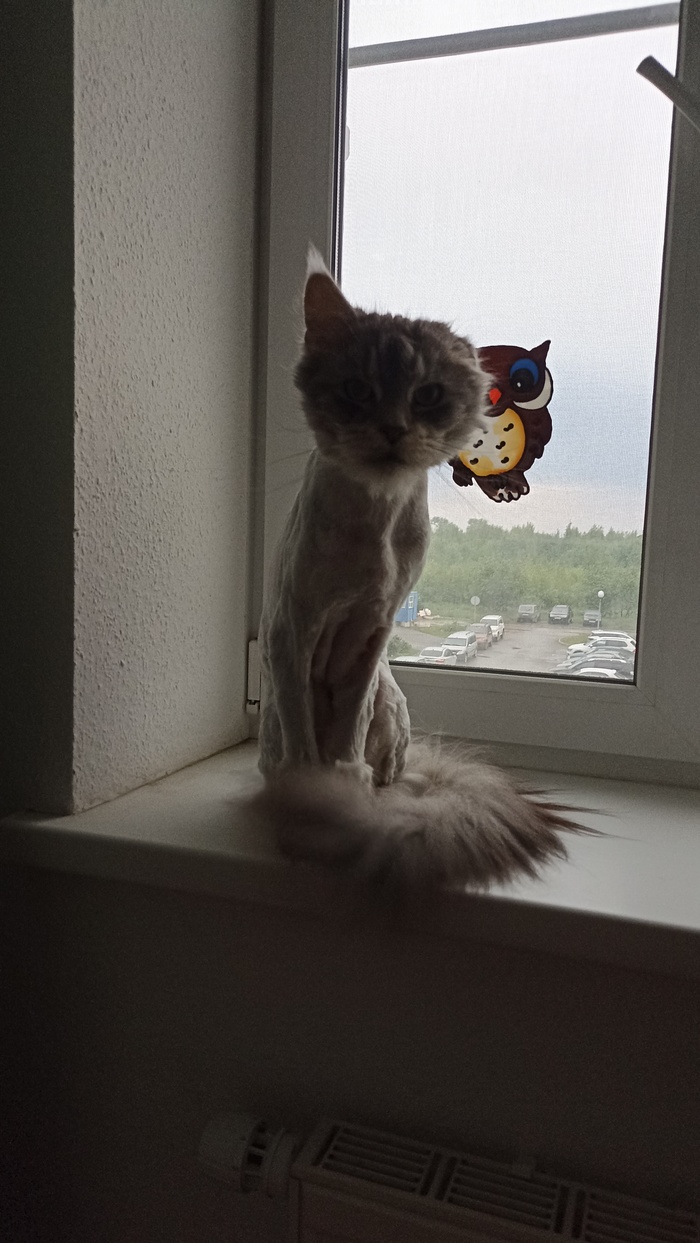 �������� ����