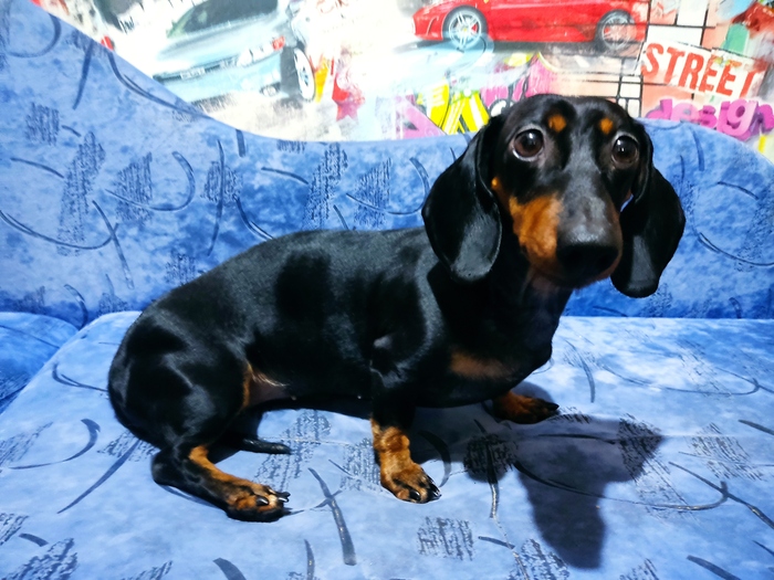 Продолжаю бунтовать