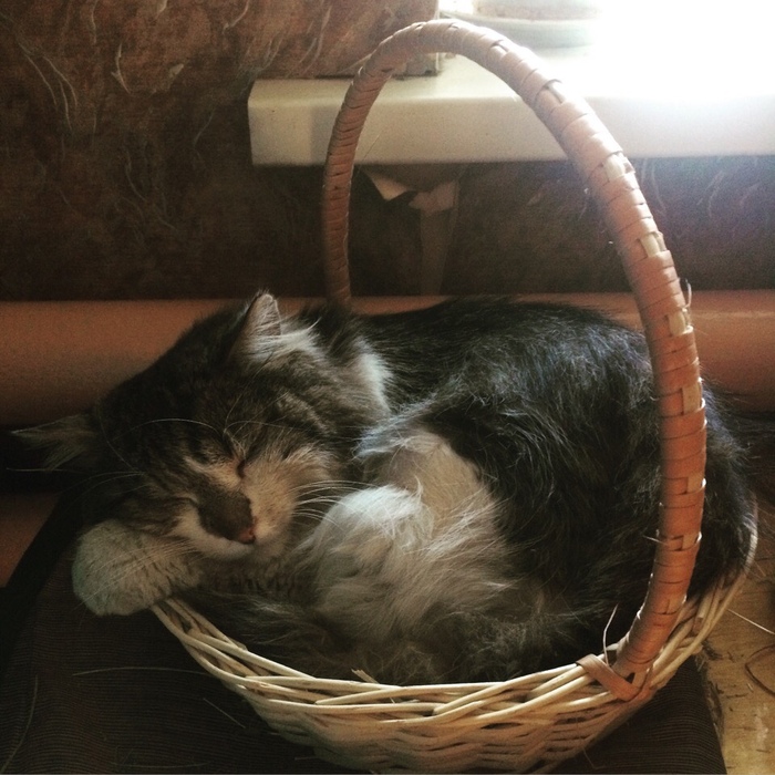 ����, ������ ����! ��� ��� ��� � �������, �������� ��� �������� ��������!