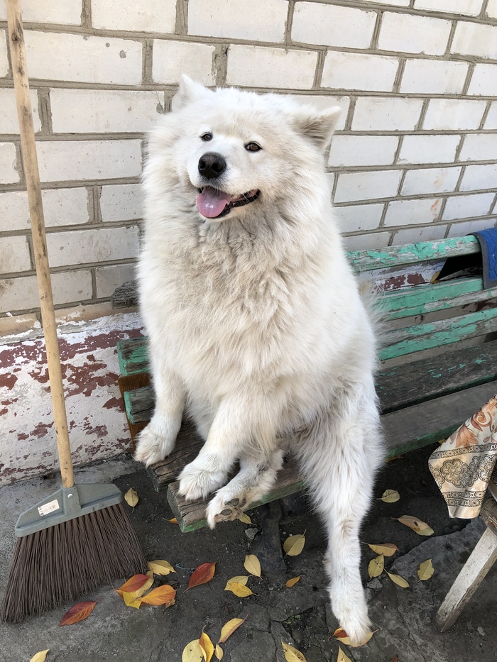 В поддержку Бунда