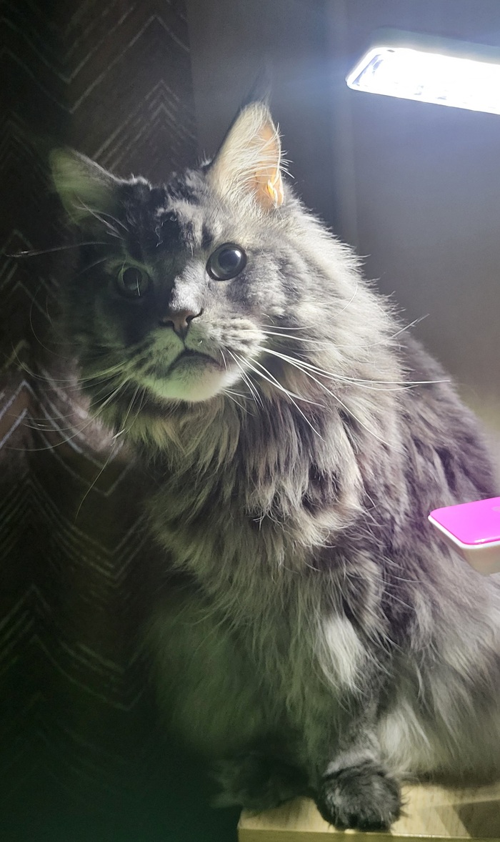 �� ���� ��� ��������?