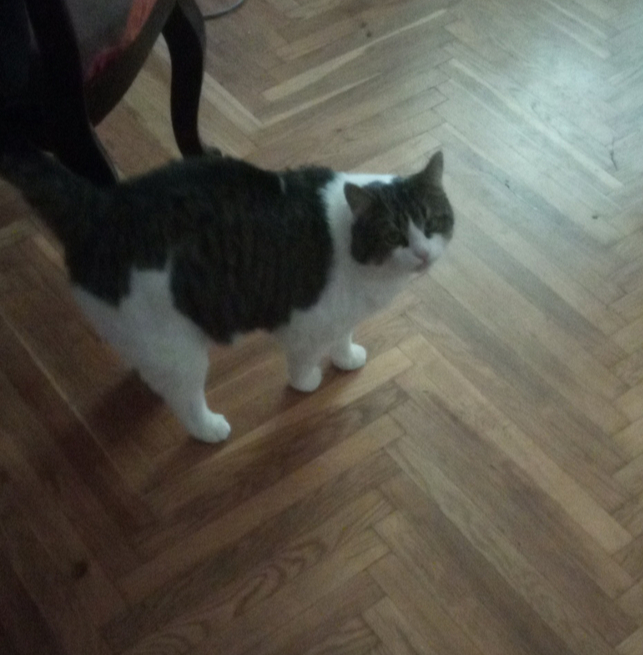 � ���� ������� ����!