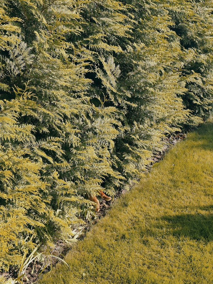 ����� ����? ������� ������!)