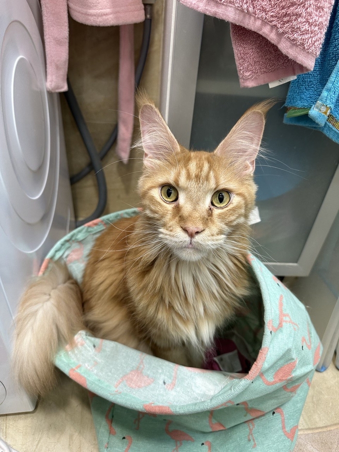 �������, ��?