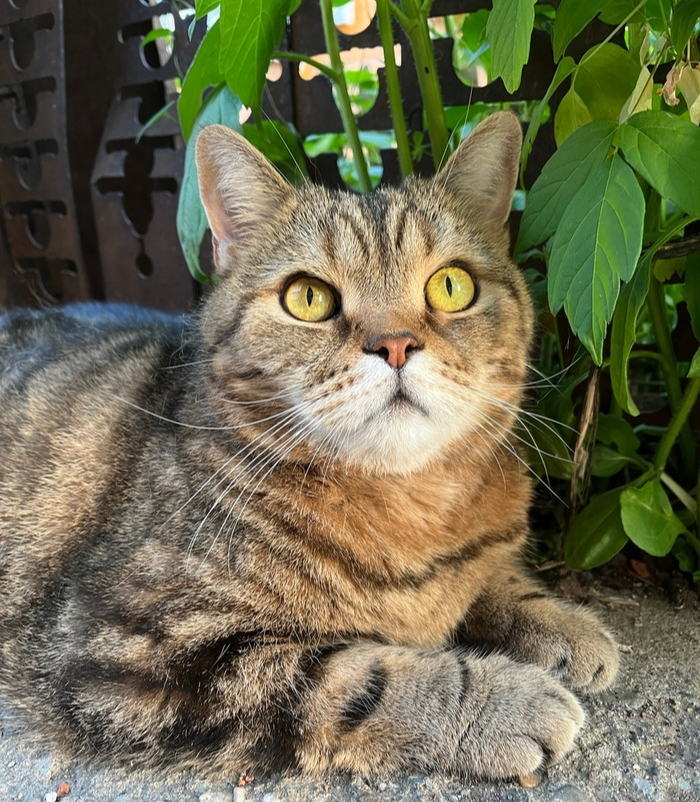 За общую цель и идею!