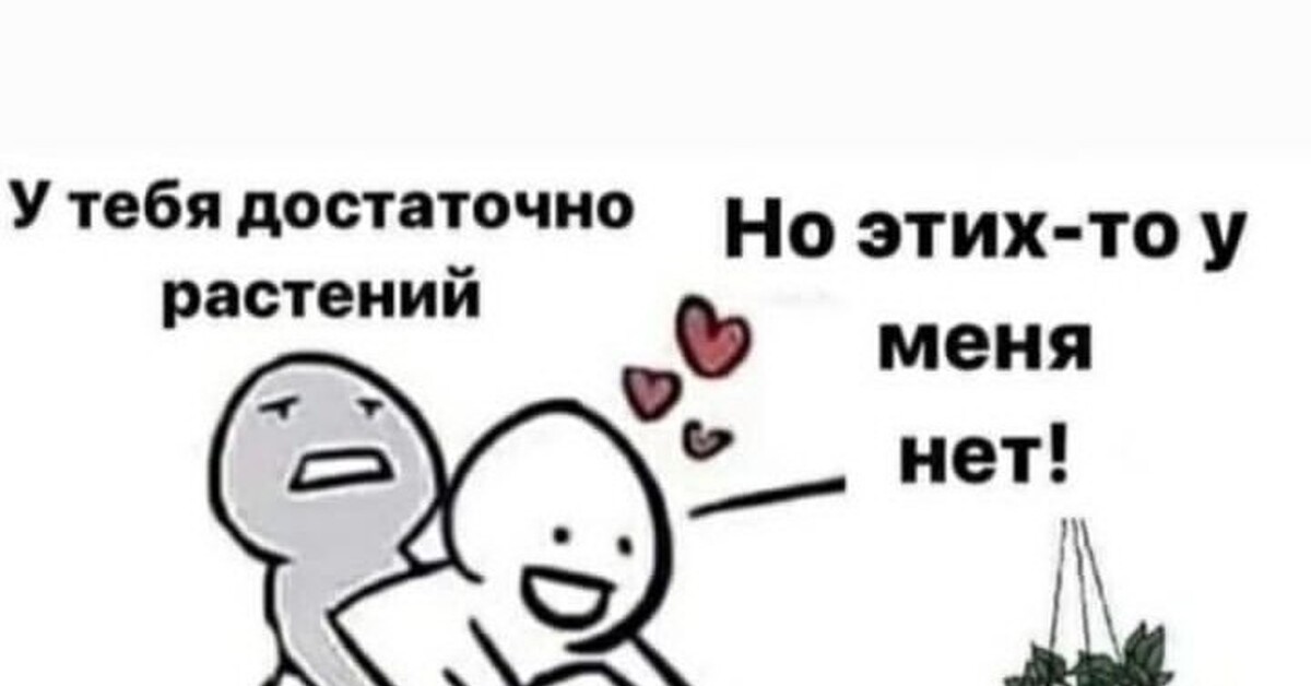 Гулять так гулять | Пикабу