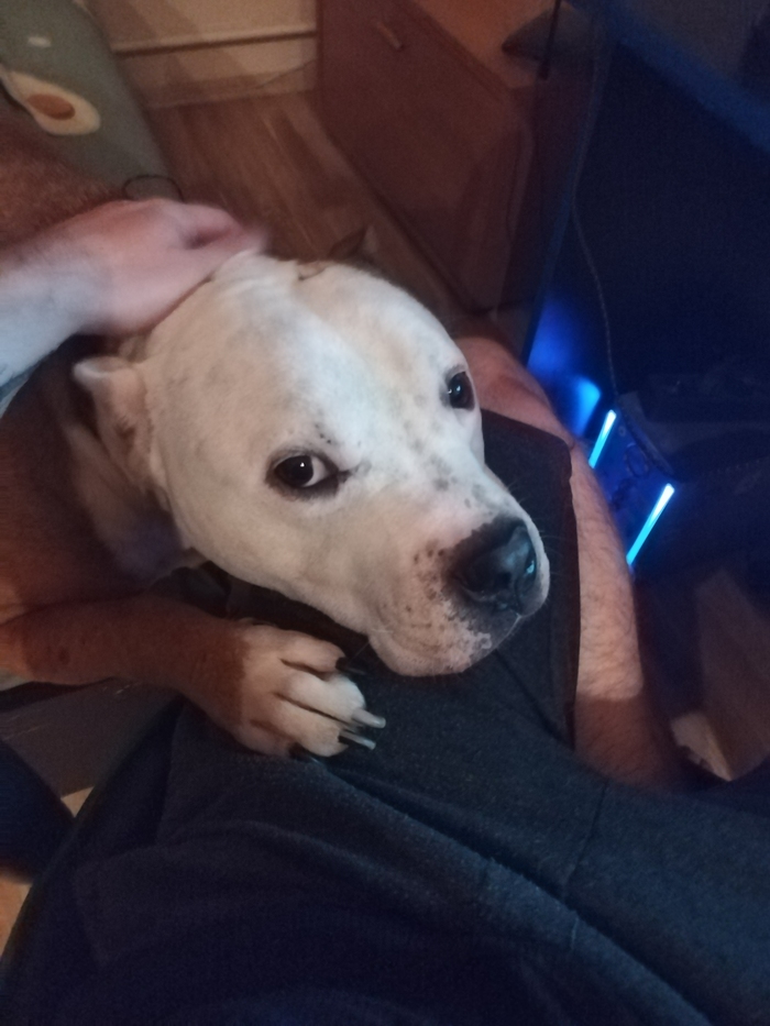 Мы с пёсиком тоже побундуем