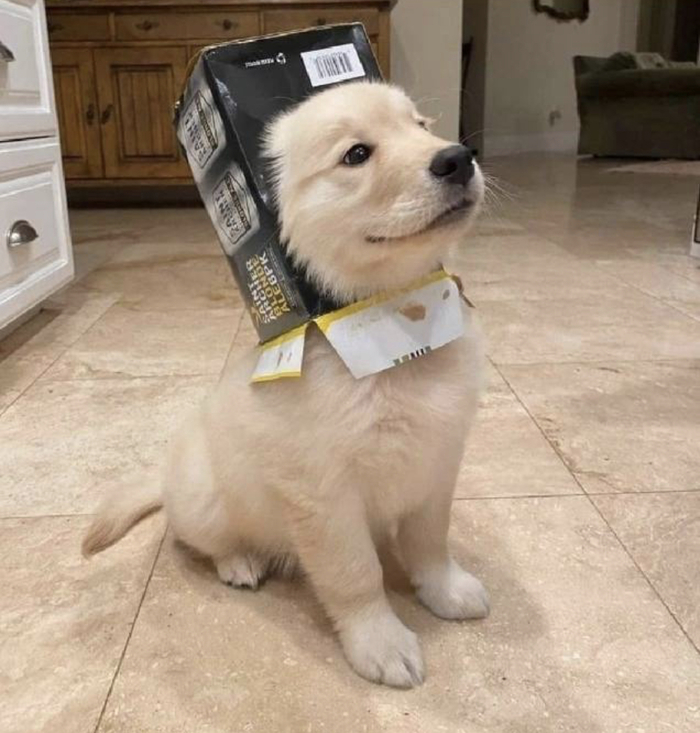 �� ����� � �����, � �� �����?!