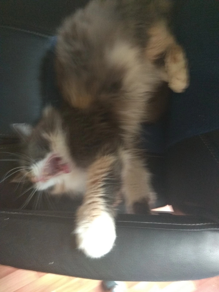  !