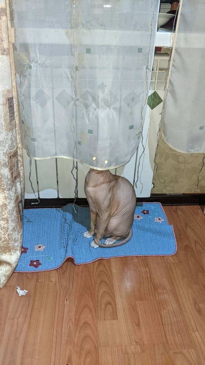 ���������� ����� ���������� �� ������