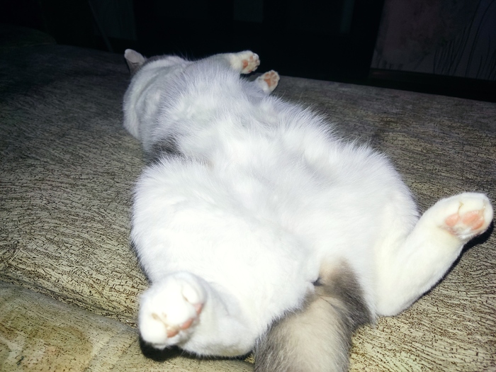 ���������, ����� ������ ��� ������...