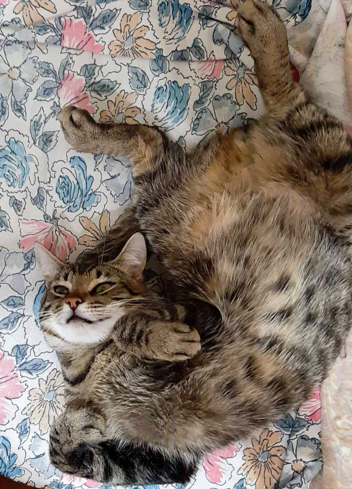 ���� ����!