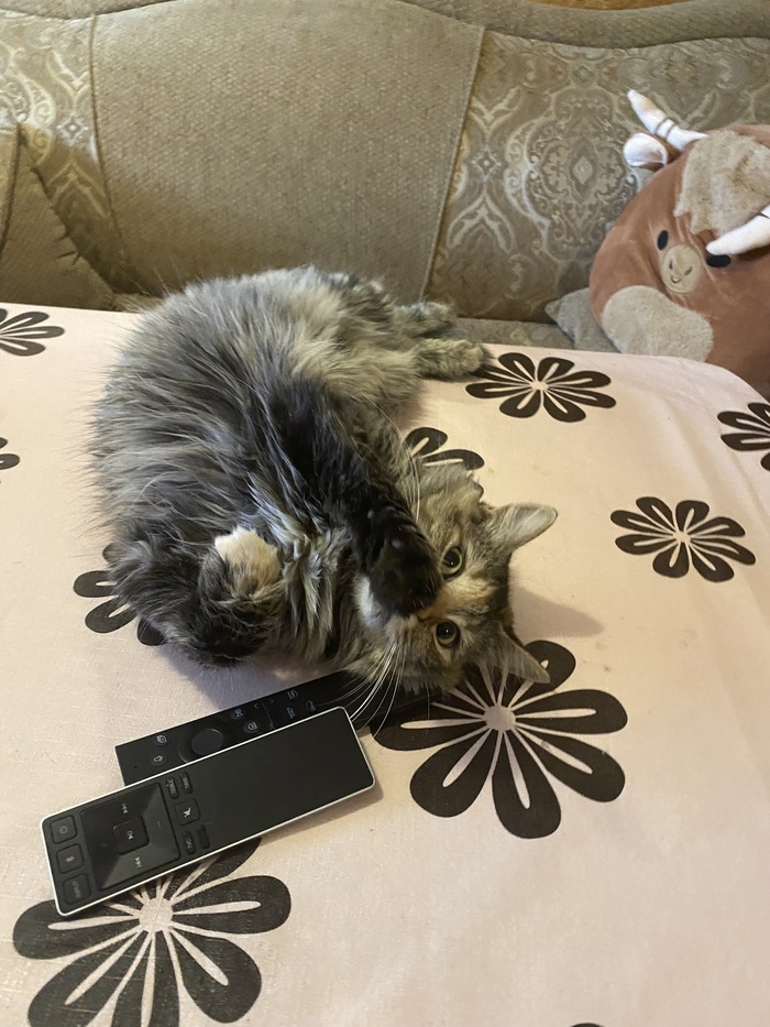 ������腅