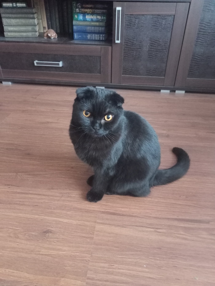 ���� ���������! + ���� ������������ ����