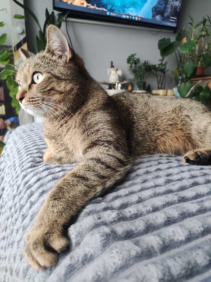 В тему рандомных фото