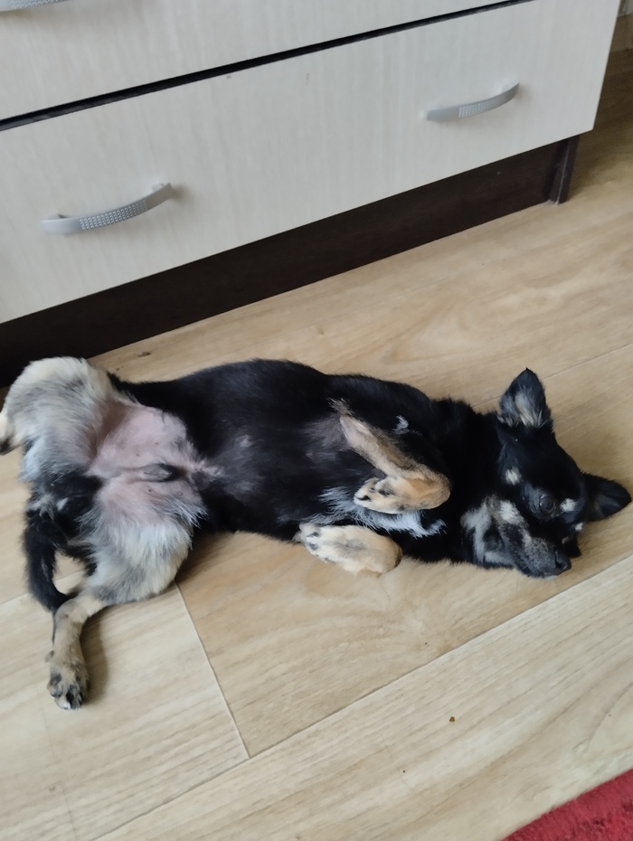 Бунд так бунд