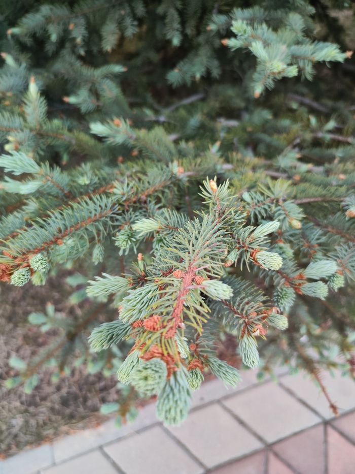 �� ��������, �� �� ��