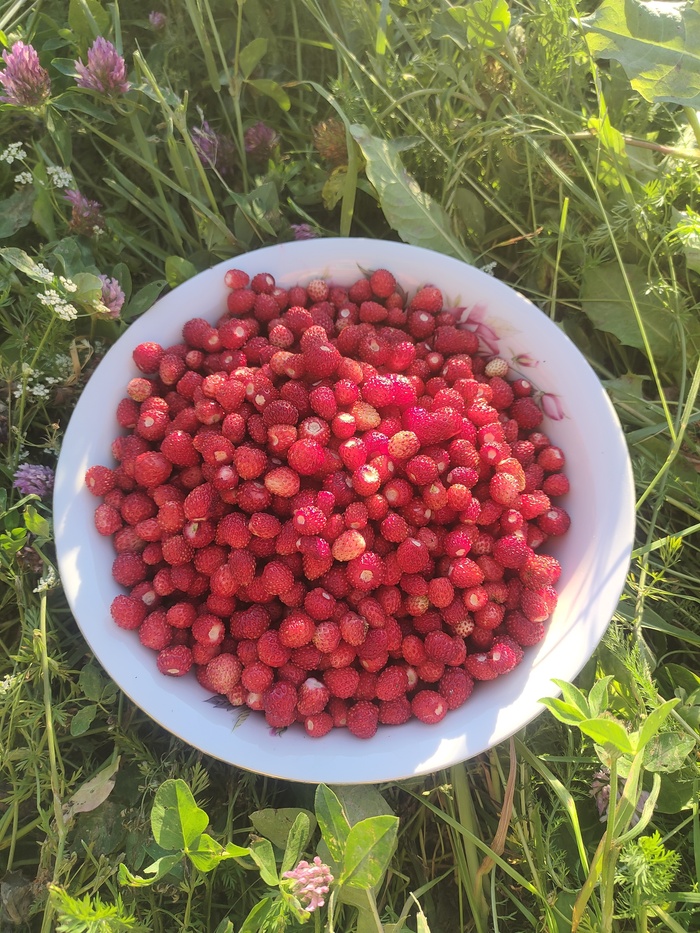 Бунд | Пикабу