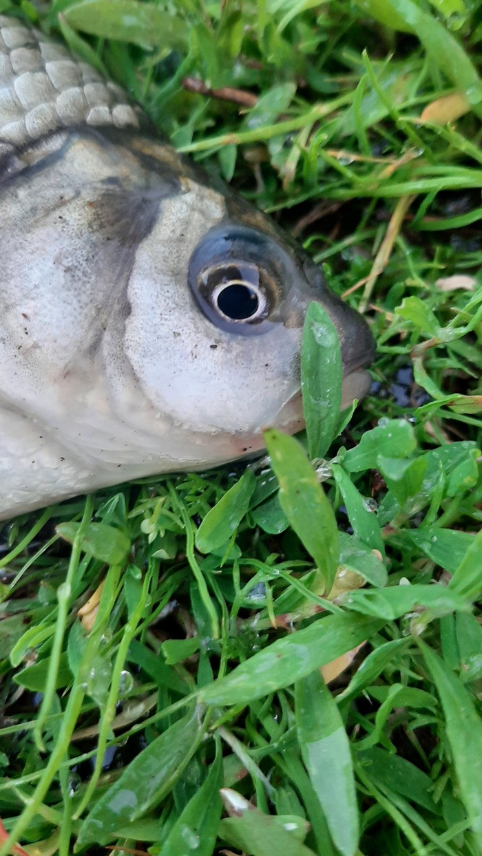 ����, �� ���� �� ��� � �������