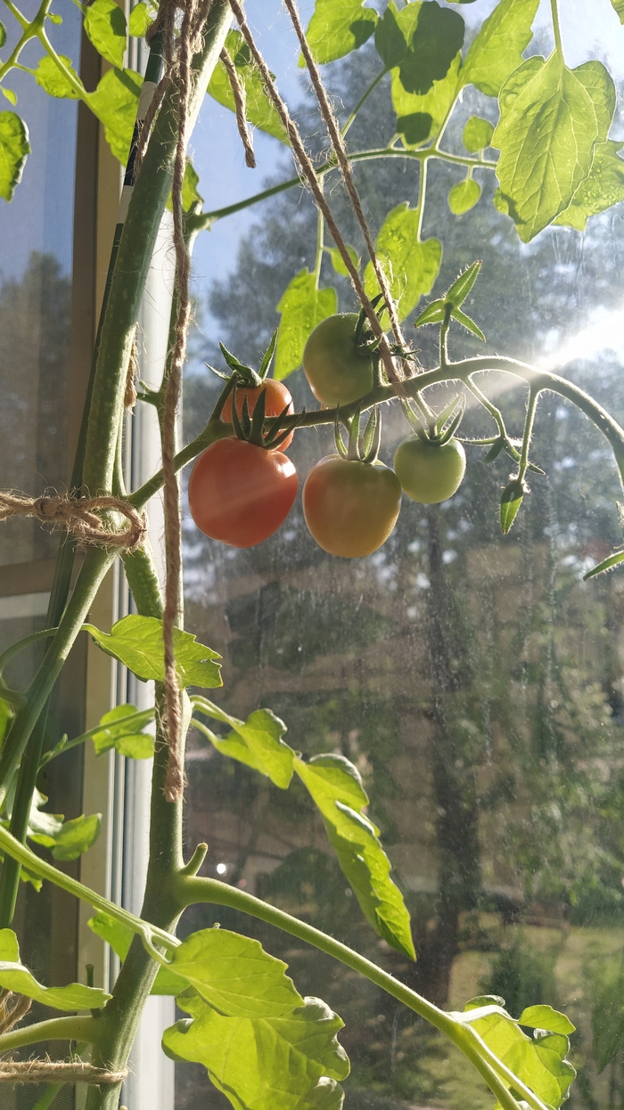 �� ��� ����, �� � ������ �������